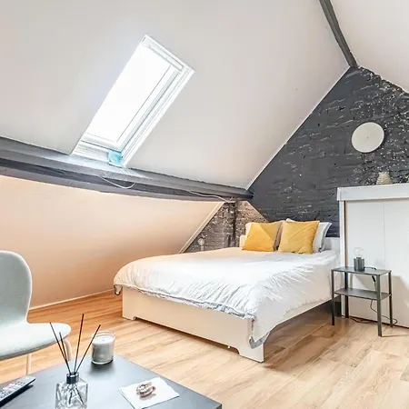 Spacious Shared 5br In The Heart Of * Gent