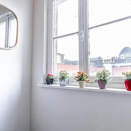 Apartment Spacious Shared 5br In The Heart Of *