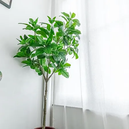 Spacious Shared 5br In The Heart Of Gent