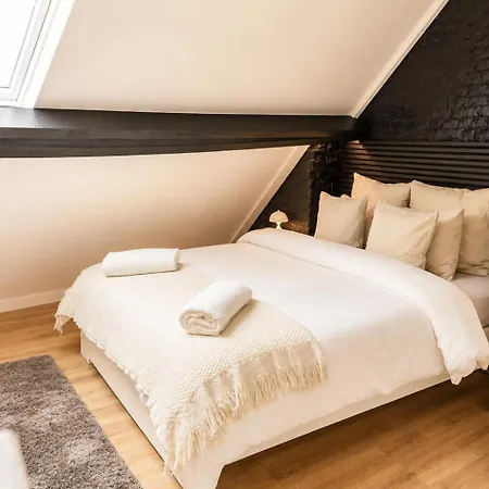 Spacious 6 With Shared Kitchen In The Heart Of Gent