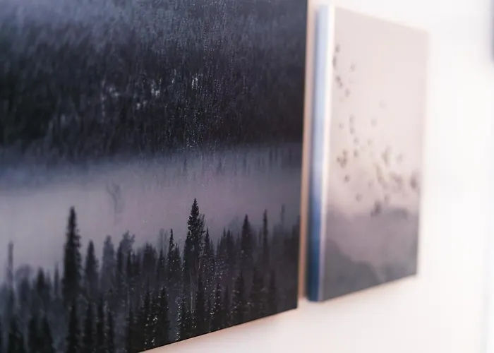 Spacious Shared 5br In The Heart Of Apartment