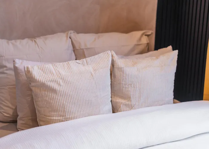 Apartment Spacious Shared 5br In The Heart Of Ghent