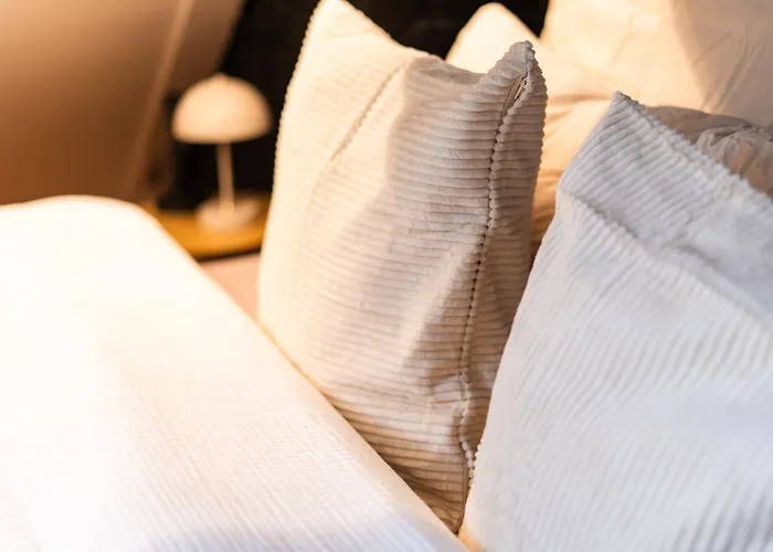 Spacious Shared 5br In The Heart Of Ghent